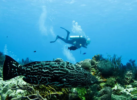 Belize Barrier Reef