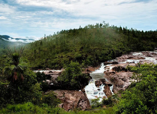 The Mountain Pine Ridge Forest Reserve