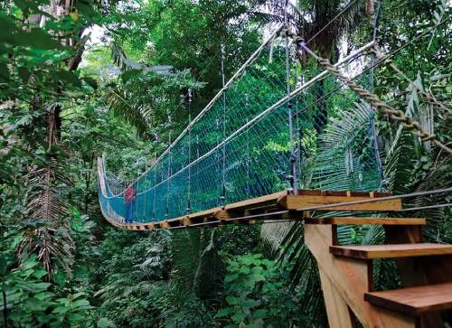 Hiking Trails with Breathtaking Views