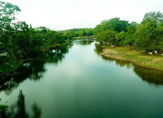 Macal River – Cayo District