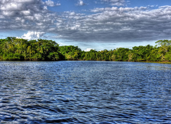 New River – Northern Belize (Orange Walk)