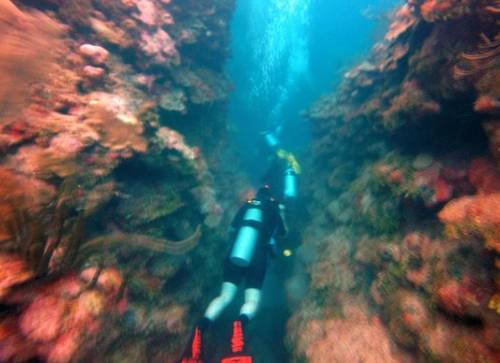 Tackle Box Canyons