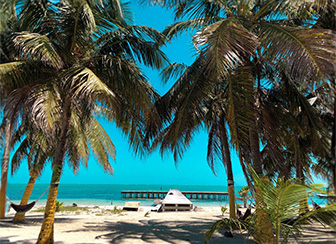 Caye Caulker – Chill Vibes & Marine Life