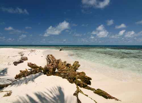 Gladden Spit and Silk Cayes Marine Reserve