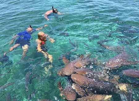 Snorkeling and Diving in Hol Chan Marine Reserve & Shark Ray Alley