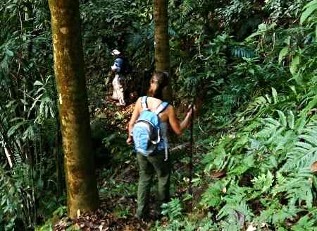 Jungle Adventures in the Cayo District