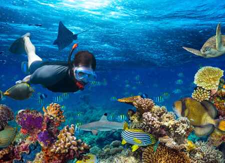 Snorkeling and Scuba Diving at the Great Blue Hole