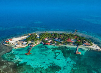 Snorkel With Sharks (Safely!)
