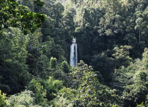 Exploring Rainforests & Wildlife Sanctuaries