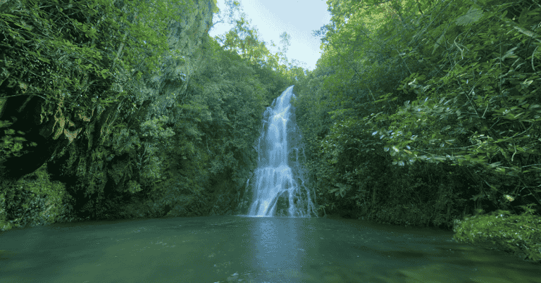 Wildlife Watching at Cockscomb Basin Wildlife Sanctuary – A Nature Lover’s Paradise